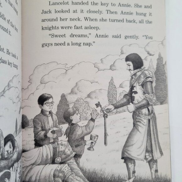 MAGIC TREE HOUSE MERLIN MISSION SERIES LOT OF 15 BOOKS MARY POPE OSBORN #1 - 22 - Picture 11 of 14